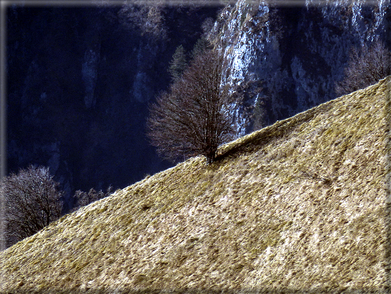 foto Da Possagno a Cima Grappa